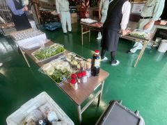 ノーイメージタグ