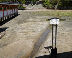 ノーイメージタグ